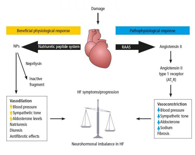 Figure 1 heart failure - Key Opinions in Medicine